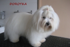 dorotka_1