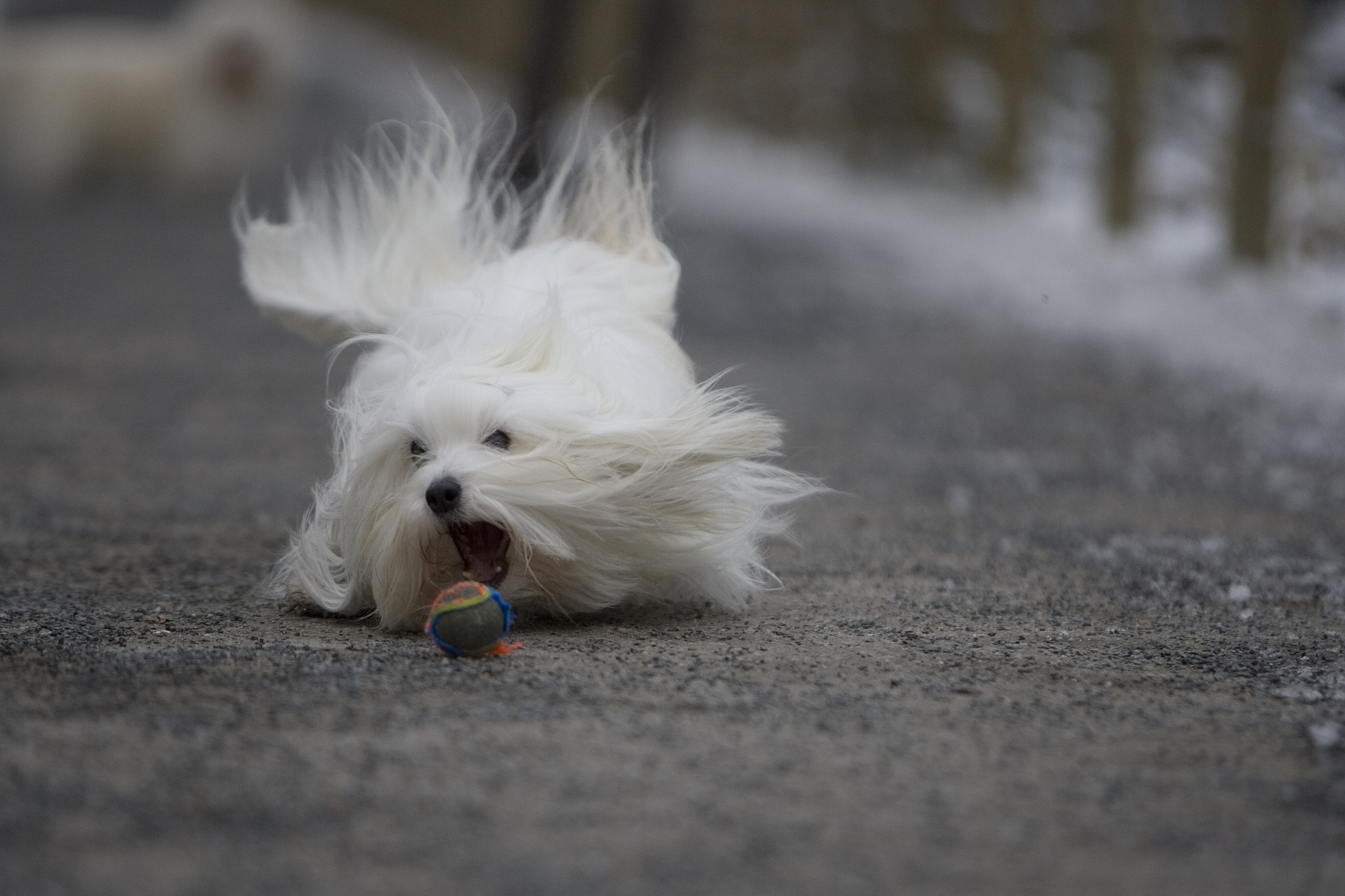 648D94C1-D0B8-471B-95F8-7B522ABACBAE