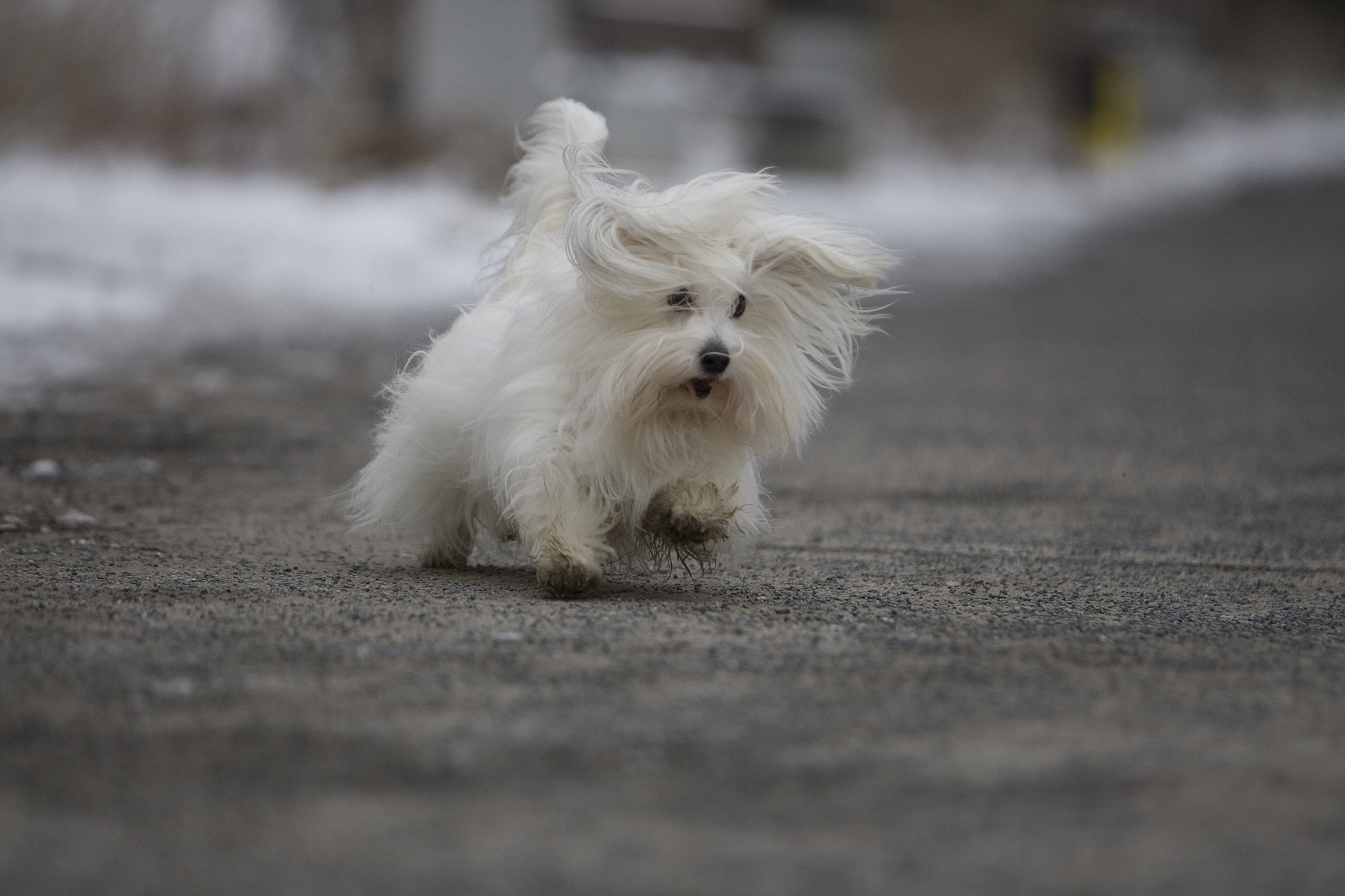 6E84E098-0C5F-4AB8-A0FC-D6426A5DFA5A