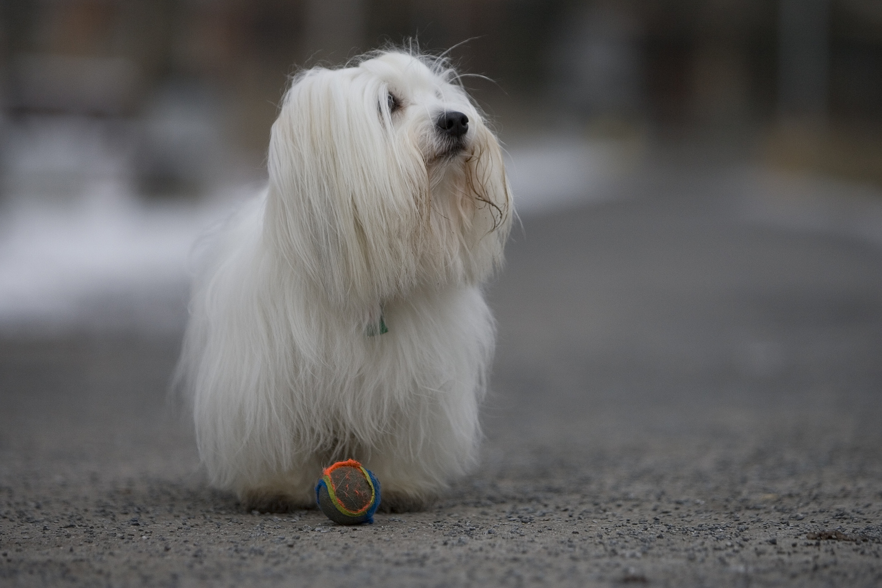 8FD40F78-9BE6-42C6-865C-981C40273D78