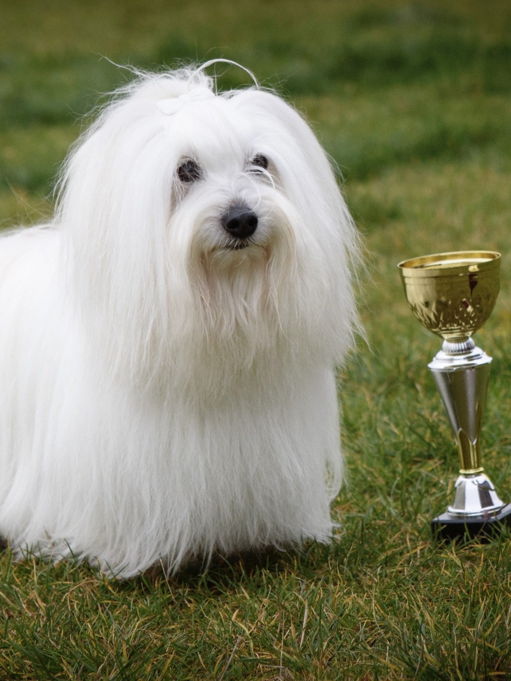 A3452306-7BC5-4B6B-9A00-AFF087EA4234_1_201_a