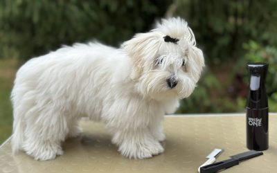 Česání není trápení