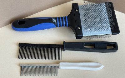 Nezbytná výbava pro úspěšné česání