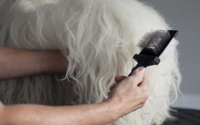 Jak používat flexikartáč