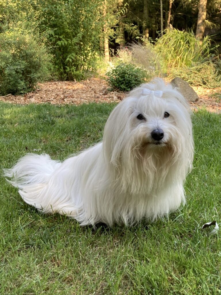 0E786373-27E5-4E63-B0A7-78719E422B7E_1_201_a