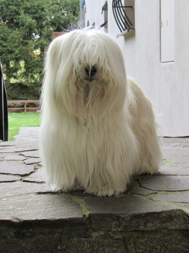 3B768441-E0AF-4D0D-A29A-EC0C57990ED0_1_201_a