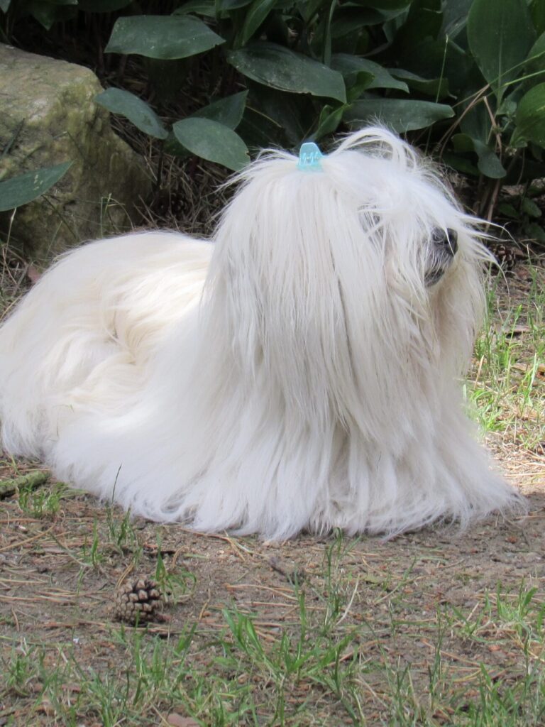 75263073-629B-4616-9484-A73888482828_1_201_a