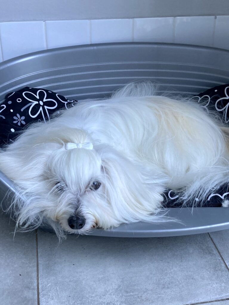 BE8AA4ED-7746-48A5-929E-B2816655E280_1_201_a