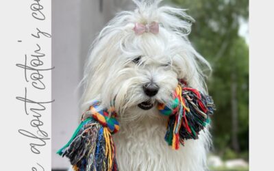 NA STARTOVNÍ ČÁŘE – nové verze